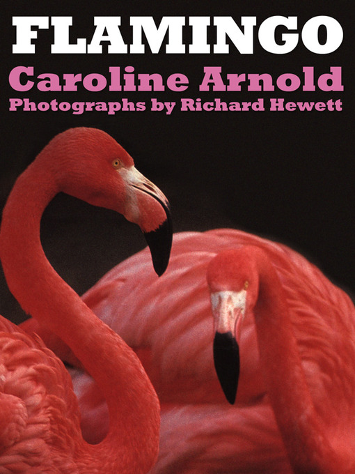 Title details for Flamingo by Caroline Arnold - Available